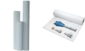 Inapa Groformat-Plotterrolle, 594 mm x 175 m, wei