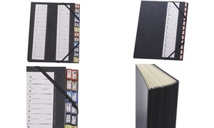 extendos Pultordner 48.24, 24 Fcher, mit Eckspannergummi