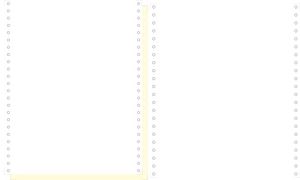 EXACOMPTA Computerpapier endlos, 240 mm x 12