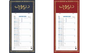 EXACOMPTA Calendrier mural 2025, 230 x 130 mm, fond Skytos