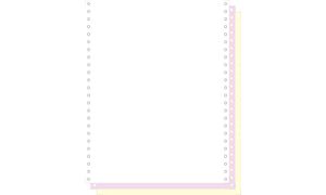 EXACOMPTA Computerpapier endlos, 240 mm x 12