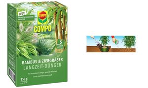 COMPO Bambus- und Ziergrser Langzeit-Dnger, 850 g