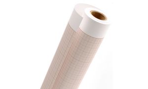 CANSON Millimeterpapier-Rolle, 750 mm x 10 m, 90 g/qm