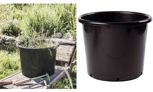 Potic Gartencontainer, 15 Liter, anthrazit