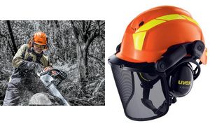 uvex Schutzhelm pheos forestry, orange