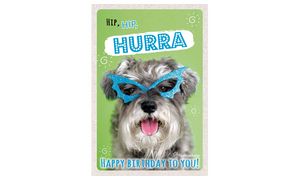 SUSY CARD Geburtstagskarte - Humor 