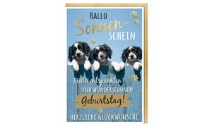 Geburtstagskarten, Humor