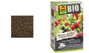 COMPO BIO Beeren- und Obst Langzeitdnger, 2 kg